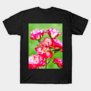 Miniture Roses T-Shirt